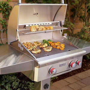 AOG Grill 24 Inch Gas Grill On In-Ground Post 24NGT