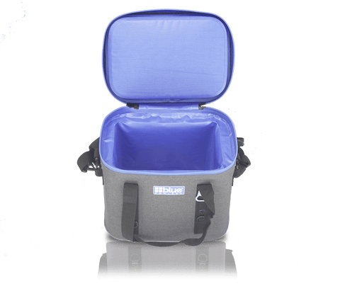 Image of Blue Coolers Companion Cooler Blue Coolers 22Q Soft Sided Cooler - Gray